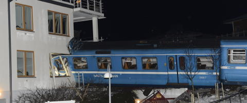 - Rengj�rer stjal tog og krasjet i hus