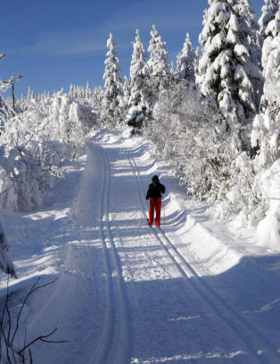 Ikke v&aring;r kulturdebatt