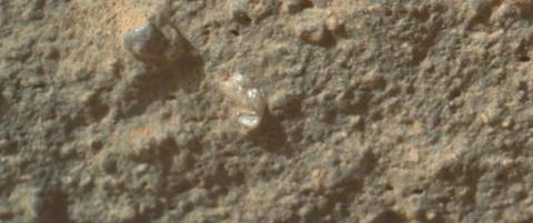 Fant �blomst� p� mars