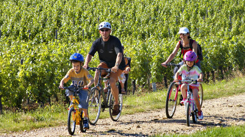 VINTURIST: Langs vinmarkene i Bourgogne g�r det sykkelveier uten trafikk fra den ene ving�rden til den andre, slik at barna ogs� kan v�re med p� turen. Foto: BIVB / MONNIER H.