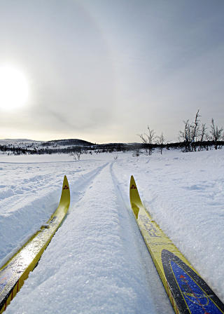 FEBRUARSOL: Kald og finkornet sn� i fjellet ved Nesbyen. Foto: OLE C. H. THOMASSEN