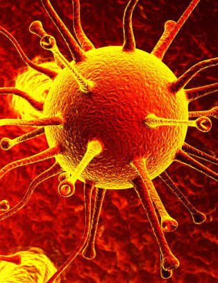 - Hiv-liknende virus fantes allerede for minst fem millioner �r siden