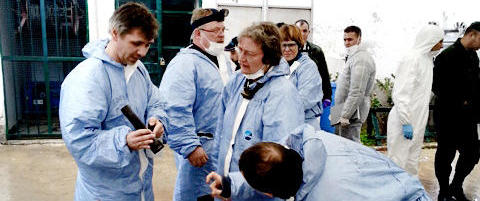 Her jobber Kripos i Algerie