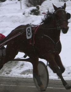 Trener som en vinner