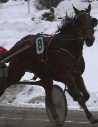 Trener som en vinner