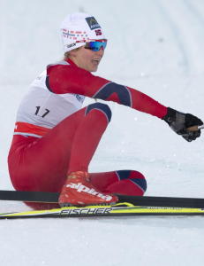 Brun-Lie p� pallen i pr�ve-OL