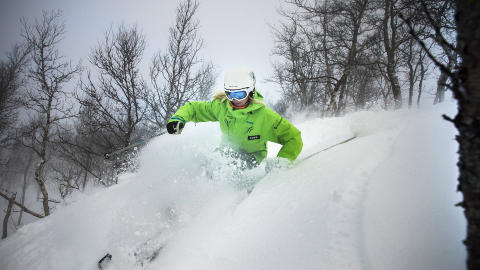 PUDDER: Terrenget i Hemsedal er som skapt for l�ssn�kj�ring. Her er det skiinstrukt�r Tove Wireby som pumper pudder. Foto: THOMAS RASMUS SKAUG