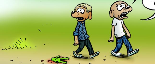 Sannheten i stripene