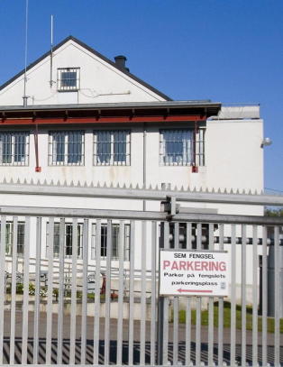 Onanist frisk nok til fengselsstraff