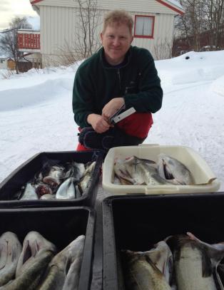 Helge krasjet med en hval, ble slengt opp i lufta, og Dagbladet ble lurt trill rundt