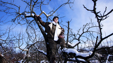 Lave forventninger: Frank Kjos�s opplever suksess over natta med �Halvbroren�, men liker ikke oppmerksomheten. &mdash; N� kommer tr�kket og jeg har sett det p� kolleger, hvordan den kul�rte presse er parasitter, det er en hai-bransje, sier han.