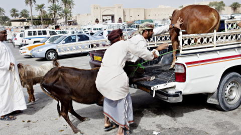 KAOS: Lydniv�et er h�yt, og krefter m�les p� den store parkeringsplassen. Rett ved siden av legger en kar geita si i bagasjerommet p� en personbil. Foto: NINA HANSEN