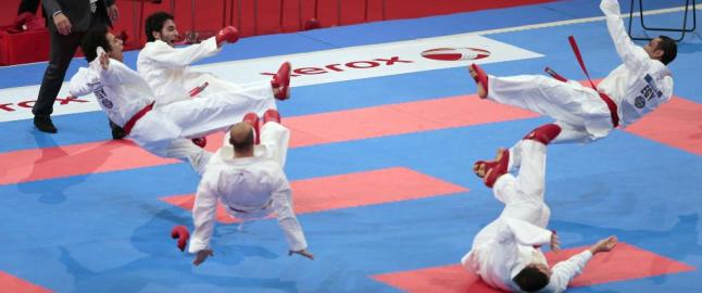Karate kan erstatte bryting