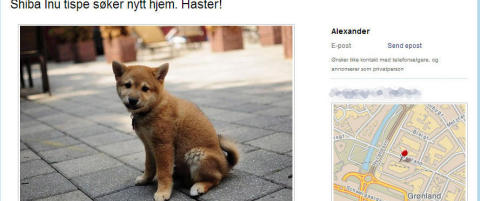 Gratis katt i Moss ble svindelvalp fra Afrika