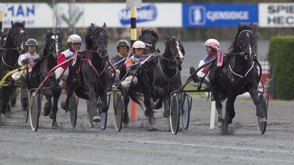 SKAL STYRE. L�rdag har Gunnar Austevoll temtambisjoner med to hester. Wik Stjernen er en av dem. Her styrer hest og kusk i et tidligere l�p. Foto: HESTEGUIDEN.COM.