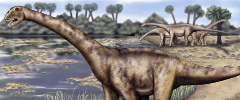 Nakkebeina til de langhalsede dinosaurene var 60 prosent luft