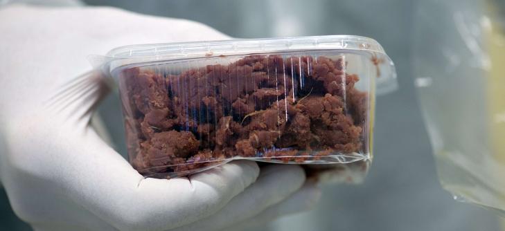 TESTES: I Berlin gjennonmf�res det her pr�ver av kj�tt som er sendt til et DNA-labratorium. Myndighetene i landet har uttalt at 24 av 360 inneholdt spor av hestekj�tt.  Foto: Scanpix