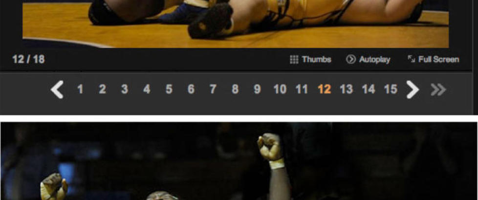 Toppfotograf diskvalifisert etter manipulasjon av prisvinner-bilde