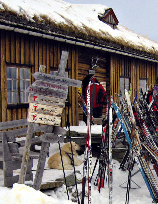 Hevder at vaflene du f�r her er verdens aller beste