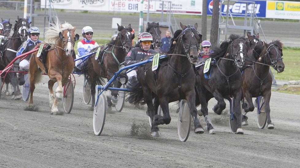 MORO IGJEN. Stjernejerven synes det er blitt morsomt � konkurrere igjen. Kusk Geir Vegard Gundersen har to store vinnersjanser i V75-spillet. Foto: HESTEGUIDEN.COM.