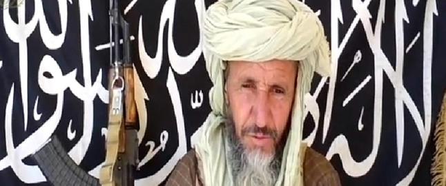 Al-Qaida-topp bekreftet drept