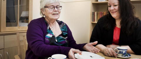 Dingsene skal redde Norge igjennom eldreb�lgen