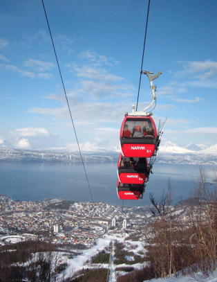 F� hele palmehelga for �n krone