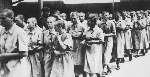TVUNGET TIL ARBEID: Bildet tatt i 1944 viser kvinner som ble tvunget til arbeid i Auschwitz-Birkenau-leiren. Foto: Yad Vashem Archives / Scanpix TVUNGET TIL ARBEID: Bildet tatt i 1944 viser kvinner som ble tvunget til arbeid i Auschwitz-Birkenau-leiren. Foto: Yad Vashem Archives / Scanpix