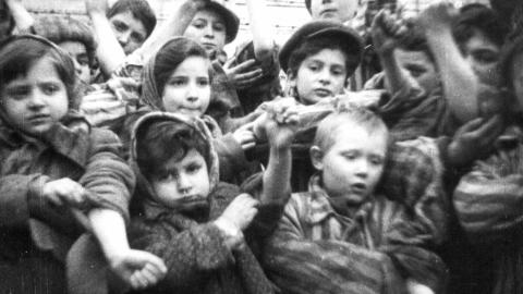BARN: Dette bildet viser noen av de om lag 600 barna som overlevde konsentrasjonsleiren Auschwitz II-Birkenau. Foto: Reuters / Ho-Auswhwitz Museum / Scanpix BARN: Dette bildet viser noen av de om lag 600 barna som overlevde konsentrasjonsleiren Auschwitz II-Birkenau. Foto: Reuters / Ho-Auswhwitz Museum / Scanpix