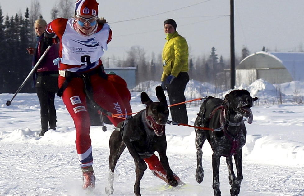 VM: Yvette Hoel har tatt to gull i VM i hundekj�ring som arrangeres i Fairbanks i Alaska. 
Foto: Privat / NTB scanpix