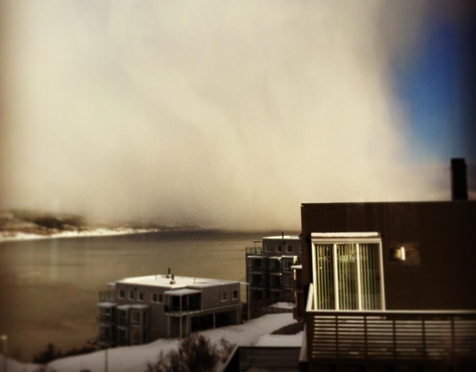 P� VEI: Her raser stormen inn over Troms�. Bildet er tatt i bydelen Hamna, nord p� troms�ya. Foto: Malin Isaksen