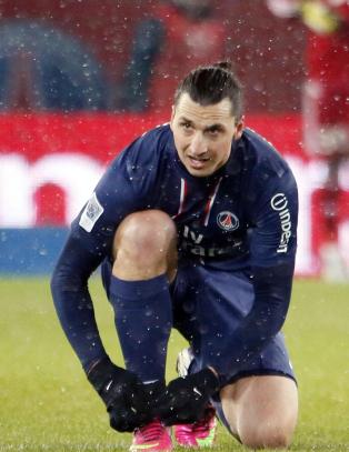 Zlatan f�r s� �rene flagrer av Palermo-eier