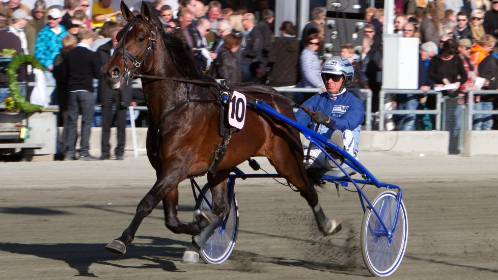 BEST. Broadway Legs og Frode Hamre er normalt vinnerne av det siste V75-l�pet p� S�rlandet. Hamre er enig i det. Foto: HESTEGUIDEN.COM.