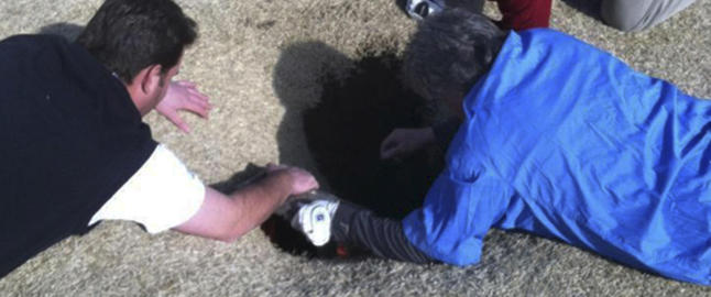 Her har golferen Mark (43) nettopp blitt slukt av bakken