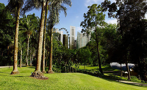 ASFALTPAUSE: Sl� deg ned i en av Singapores mange parker. Foto: MICHAEL T�PFER