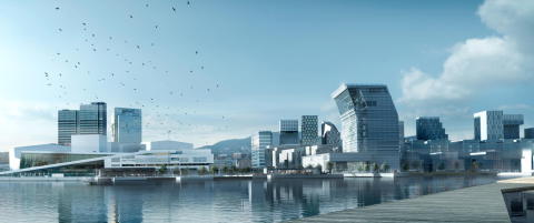 - Hele den politiske ledelsen dummer seg ut.