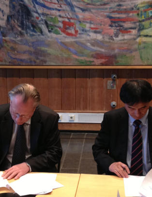 - Vi er ikke s� gode p� politikk