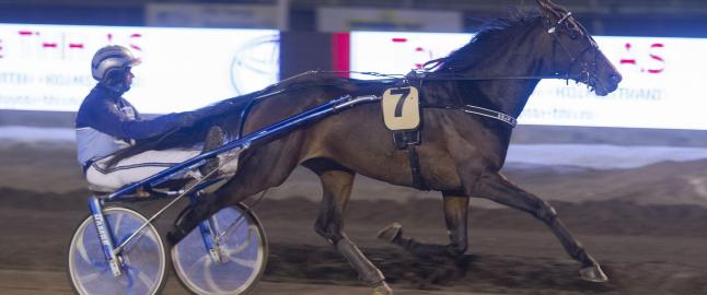 - En klink norsk vinner