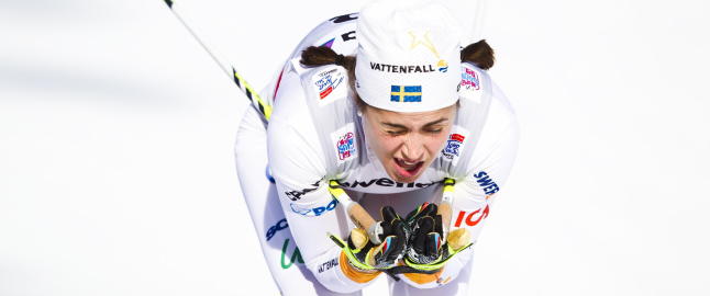 - Jeg ble bedt om � slutte fordi jeg er en skam for Sverige