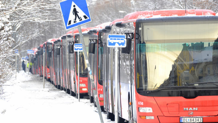 REISE MILJ�VENNLIG: 31 prosent oppgir at de har begynt � reise mer milj�vennlig. Foto: Per L�chen / Scanpix