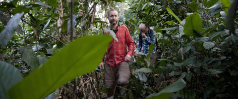 Bare denne jungelen kan redde kloden