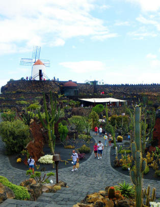 Lusene som bor her lagde  verdens mest verdifulle r�dfarge