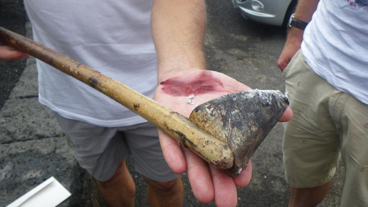  COCHENILLELUS:  N�r denne lusa knuses, dannes det en r�dfarge, karminr�d, som brukes til fargestoff. Foto: KIRSTEN MARGRETHE BUZZI