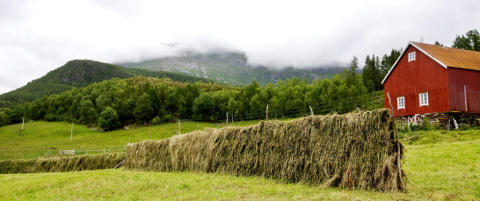 God �konomi for �kob�ndene