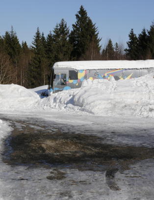 Forsvareren: - Hun er n�rmest i sjokk og er vantro over det som er skjedd