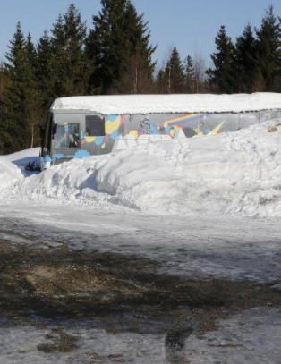 Drapssiktet Tranby-kvinne (51) fengslet i to uker