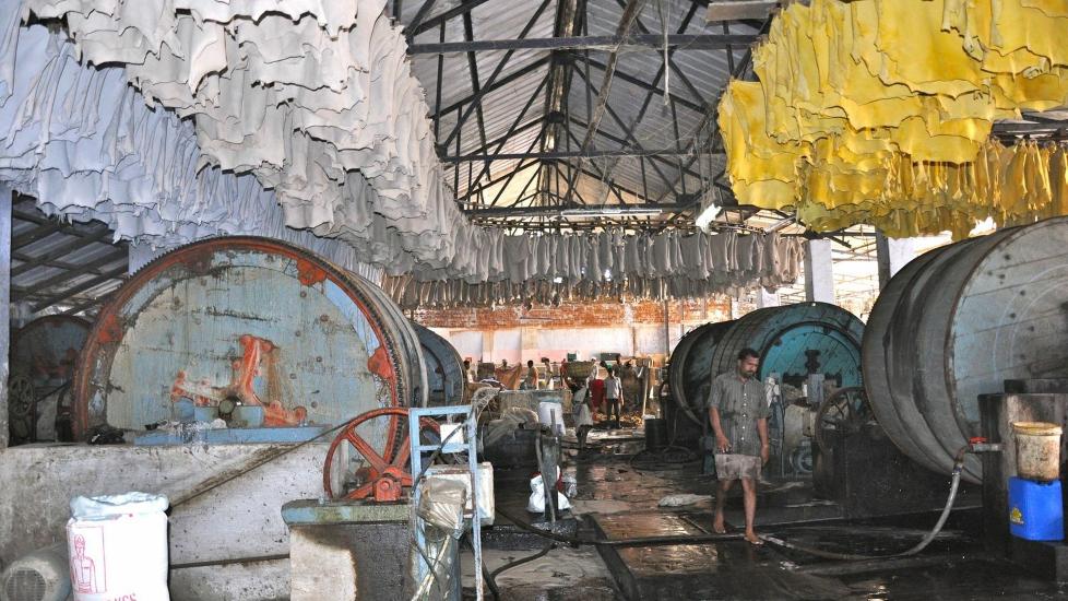 GIFTIGE ARBEIDSFORHOLD: Den danske organisasjonen Danwatch har gransket arbeidsforholdene hos skinnleverand�rer i Brasil og India, og mener de kan dokumentere slavelignende tilstander. I India garver arbeiderne blant annet skinn uten beskyttelsesutstyr, selv om dette er sv�rt giftig. P� sine hjemmesider har de publisert en rekke bilder fra feltarbeidet. Foto: Danwatch