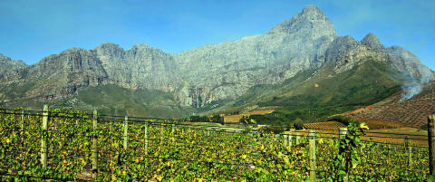 Vinen som er noe av det beste S�r-Afrika har � by p�