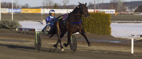 En topp vinnersjanse