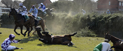 Frykter flere d�dsfall under hestefest